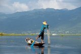 Inle Lake at 116 sq km (44.9 sq miles) is shallow, long, crystal clear and calm. Here the Intha people live, hemmed in on both sides by tall hills. The Intha men are famous for rowing standing up, using one leg, whilst fishing with tall, conical traps for Inle carp and the other, smaller fish with which the lake swarms.<br/><br/>

The Intha women, champion market gardeners, use the fertile soil around the lake, as well as floating islands made of water hyacinths and mud, to grow cauliflower, tomatoes, cucumbers, cabbages, beans and aubergines. Inle is a simple place, but a place of plenty - both restful and sublime.