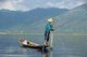Burma / Myanmar: A leg rowing Intha fisherman on Inle Lake, Shan State