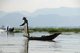 Burma / Myanmar: A leg rowing Intha fisherman on Inle Lake, Shan State